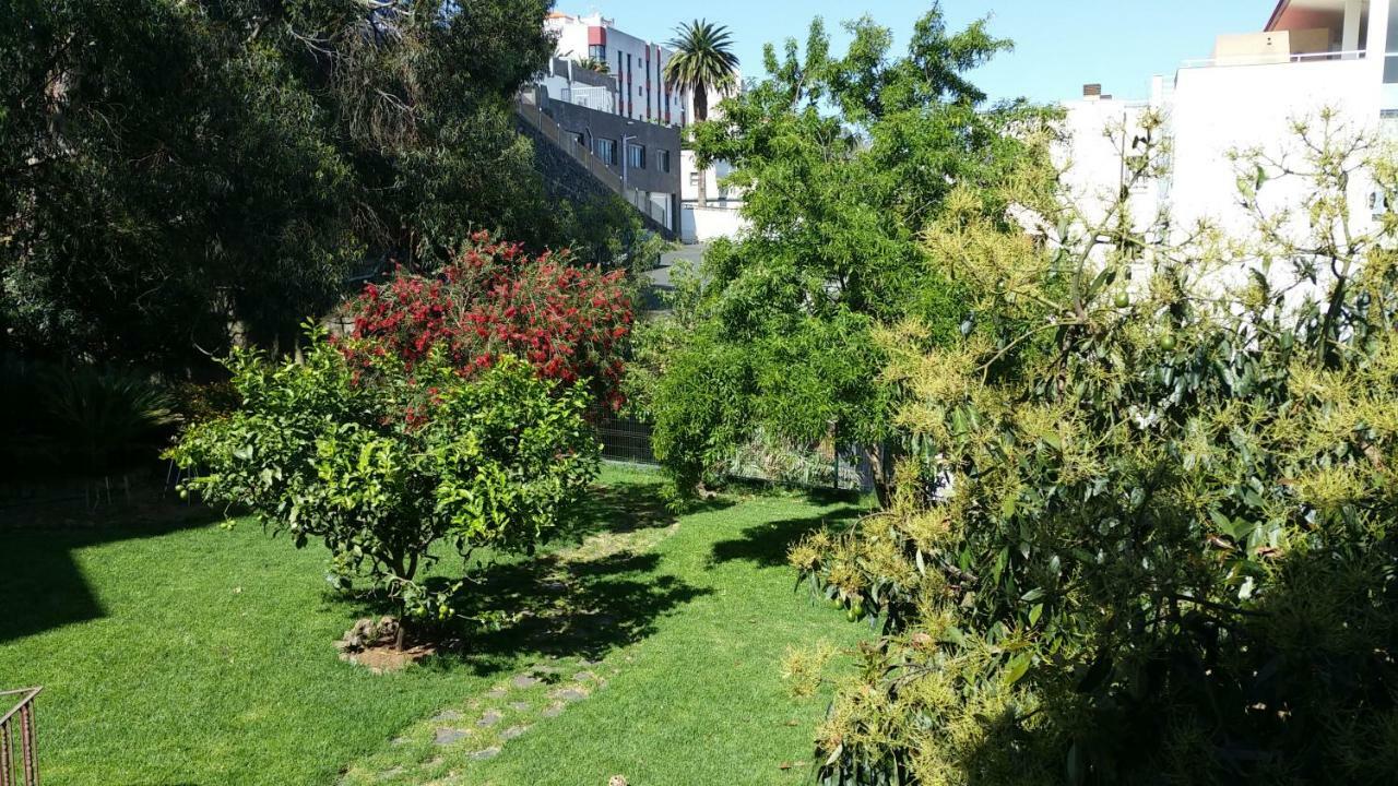 Guest House Casa טקורונטה מראה חיצוני תמונה